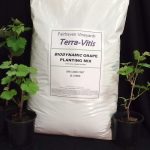 Terra Vitis Planting Mix - 1 cu. ft.